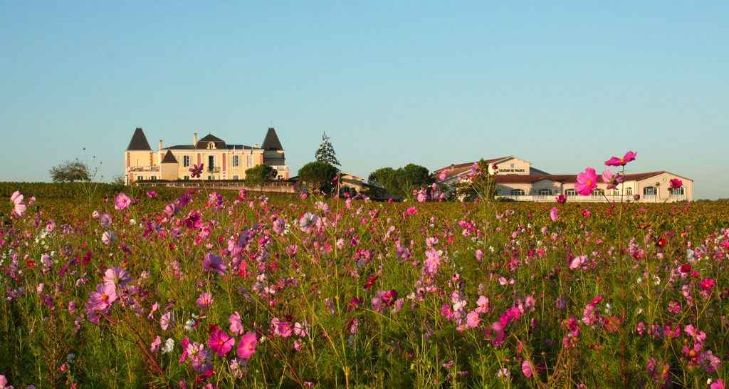 Château De France