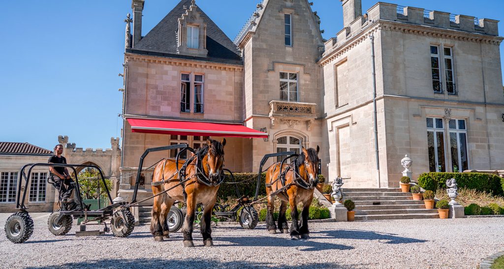 Château Pape-Clément