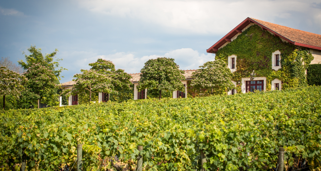 Château Malartic-Lagravière