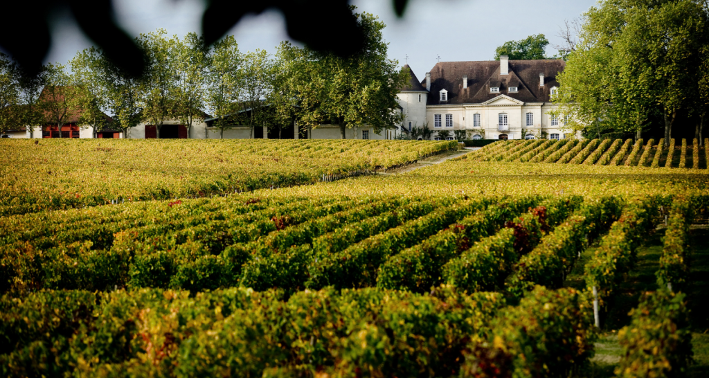 Château Bouscaut