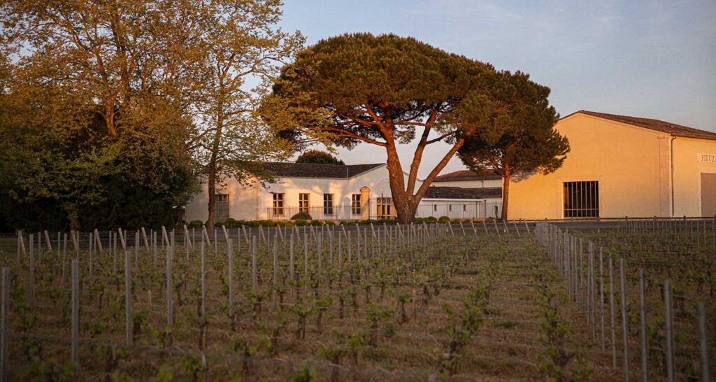 Château De Fieuzal